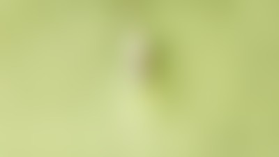 Бизнес на словах: кто и как придумывает названия для брендов