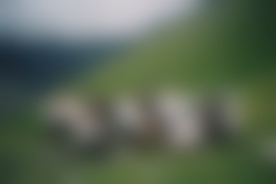 Команда LINII на корпоративе в Грузии