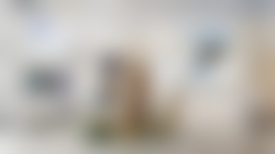 Что такое ритейл-дизайн и как он создаётся: опыт брендингового агентства LINII